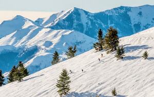 Stunning Sun Valley Luxury Home - Sun Valley, Idaho