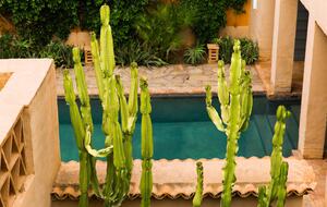 Charming Authentic 19th Century Fondouk in Taroudant's Medina - Taroudant, Morocco