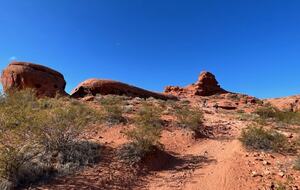 Paradise Canyon hiking trail - 5 min walk to trailhead