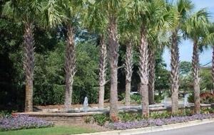 Beautiful Oceanfront Getaway - 200 Steps from Bed to Beach - Pawleys Island, South Carolina