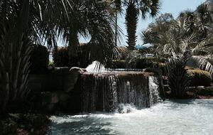 Beautiful Oceanfront Getaway - 200 Steps from Bed to Beach - Pawleys Island, South Carolina