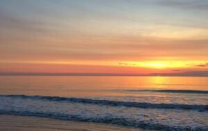 Beautiful Oceanfront Getaway - 200 Steps from Bed to Beach - Pawleys Island, South Carolina