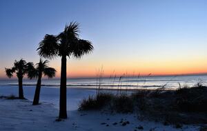 Beautiful Oceanfront Getaway - 200 Steps from Bed to Beach - Pawleys Island, South Carolina