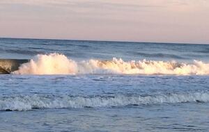 Beautiful Oceanfront Getaway - 200 Steps from Bed to Beach - Pawleys Island, South Carolina