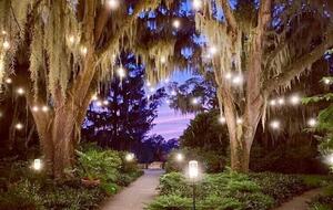 Beautiful Oceanfront Getaway - 200 Steps from Bed to Beach - Pawleys Island, South Carolina