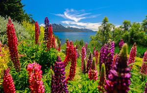 Patagonia Luxury Lakefront Home - San Carlos de Bariloche, Argentina