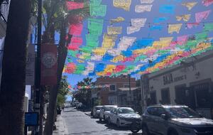 Downtown San Jose Del Cabo