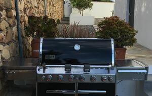 El Nido (The Nest) - Torreguadiaro, Spain