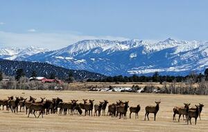 Cozy Mountain Chalet at Chalk Creek Canyon - Nathrop, Colorado