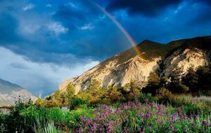 Cozy Mountain Chalet at Chalk Creek Canyon - Nathrop, Colorado