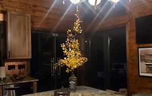 Cozy Mountain Chalet at Chalk Creek Canyon - Nathrop, Colorado