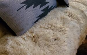 Cozy Mountain Chalet at Chalk Creek Canyon - Nathrop, Colorado