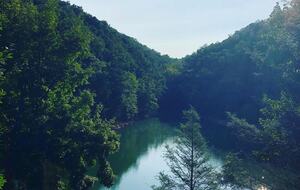 Norris Lake Waterfront Cabin - Sleeps 25 - La Follette, Tennessee