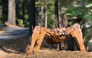 Quintessential Mountain Chalet On 10 Acres - Truckee, California