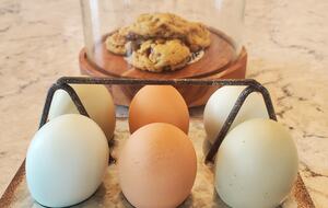 Private 1 Bedroom Villa Overlooking the Vineyards - Temecula, California