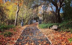 Cobbo's Beach House | With hot tubs, views, and just steps to the beach! - Avila Beach, California