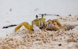 Cobbo's Beach House | With hot tubs, views, and just steps to the beach! - Avila Beach, California