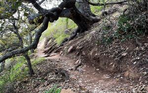 Cobbo's Beach House | With hot tubs, views, and just steps to the beach! - Avila Beach, California