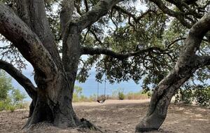 Cobbo's Beach House | With hot tubs, views, and just steps to the beach! - Avila Beach, California