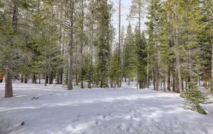 Tahoe Donner Luxury - Truckee, California