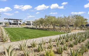 Miralon of Palm Springs - Palm Springs, California