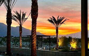 Miralon of Palm Springs - Palm Springs, California