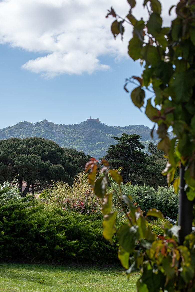 Tojal do Morelinho - Morelinho, Portugal