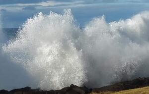 Whale Cove Oceanfront Dream - Depoe Bay, Oregon