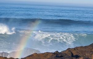 Whale Cove Oceanfront Dream - Depoe Bay, Oregon