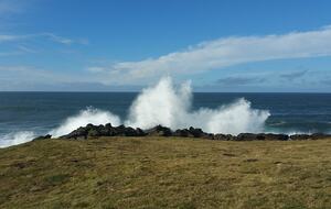 Whale Cove Oceanfront Dream - Depoe Bay, Oregon