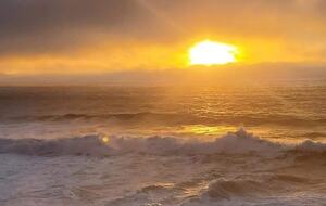 Whale Cove Oceanfront Dream - Depoe Bay, Oregon