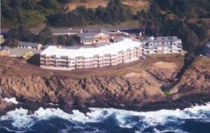 Whale Cove Oceanfront Dream - Depoe Bay, Oregon