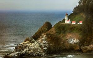 Whale Cove Oceanfront Dream - Depoe Bay, Oregon