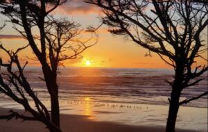 Whale Cove Oceanfront Dream - Depoe Bay, Oregon