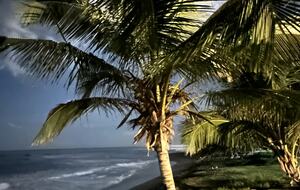 Villa Celeste - Cabarete, Dominican Republic