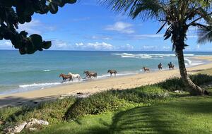 Villa Celeste - Cabarete, Dominican Republic