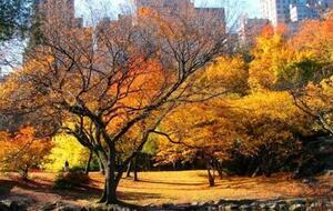 Upper West Side Studio - New York City, New York