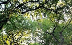 Upper West Side Studio - New York City, New York