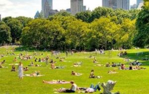 Upper West Side Studio - New York City, New York