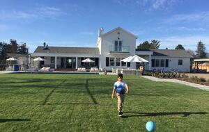 Expansive lawn area between the bocce ball court and pool.