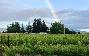 Actual seats from Candlestick Park. Have a seat and watch!