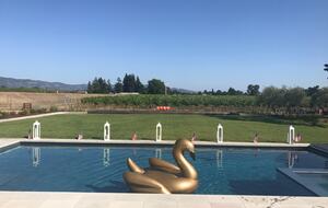 The large pool with built-in spa looking south.