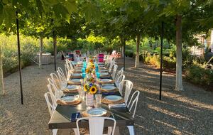 Outdoor dining beneath the sycamore trees.