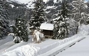 Chalet Le Paradis Blanc - Notre-Dame-de-Bellecombe, France