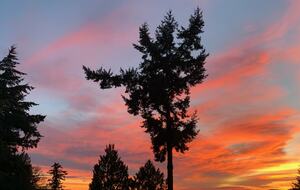 Golden Sunset Villa - Seattle, Washington