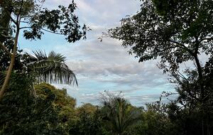 Modern Costa Rica Getaway - Black Beauty, Costa Rica