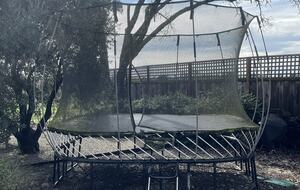 The trampoline adjacent to the tree swing and south fire-pit