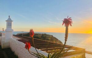 Casa o Galo Azul - Silves, Portugal