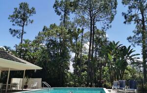 Royal Lane - Naples, Florida