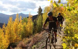 Cozy home in Breckenridge Historic District - ski, mountain bike & hike - walk to shopping + dining - Breckenridge, Colorado